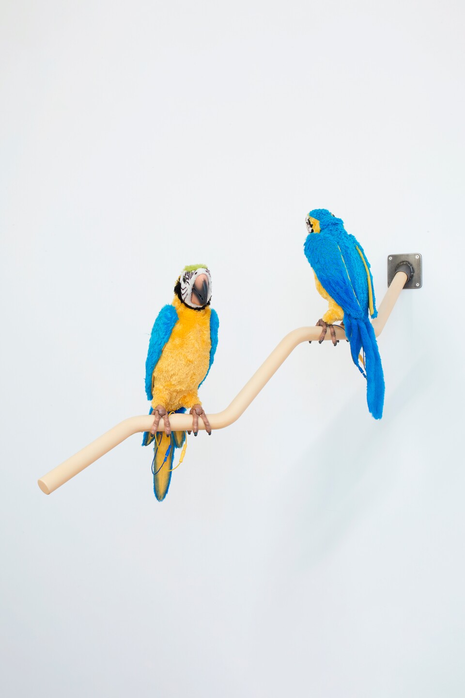 Gerrit Frohne-Brinkmann, Dirty Parrots, 2022, Hamburger Kunsthalle, Fonds für Junge Kunst der Stiftung Hamburger Kunstsammlungen, erworben 2022 Gerrit Frohne-Brinkmann, Dirty Parrots, 2022, Hamburger Kunsthalle, Fonds für Junge Kunst der Stiftung Hamburger Kunstsammlungen, erworben 2022