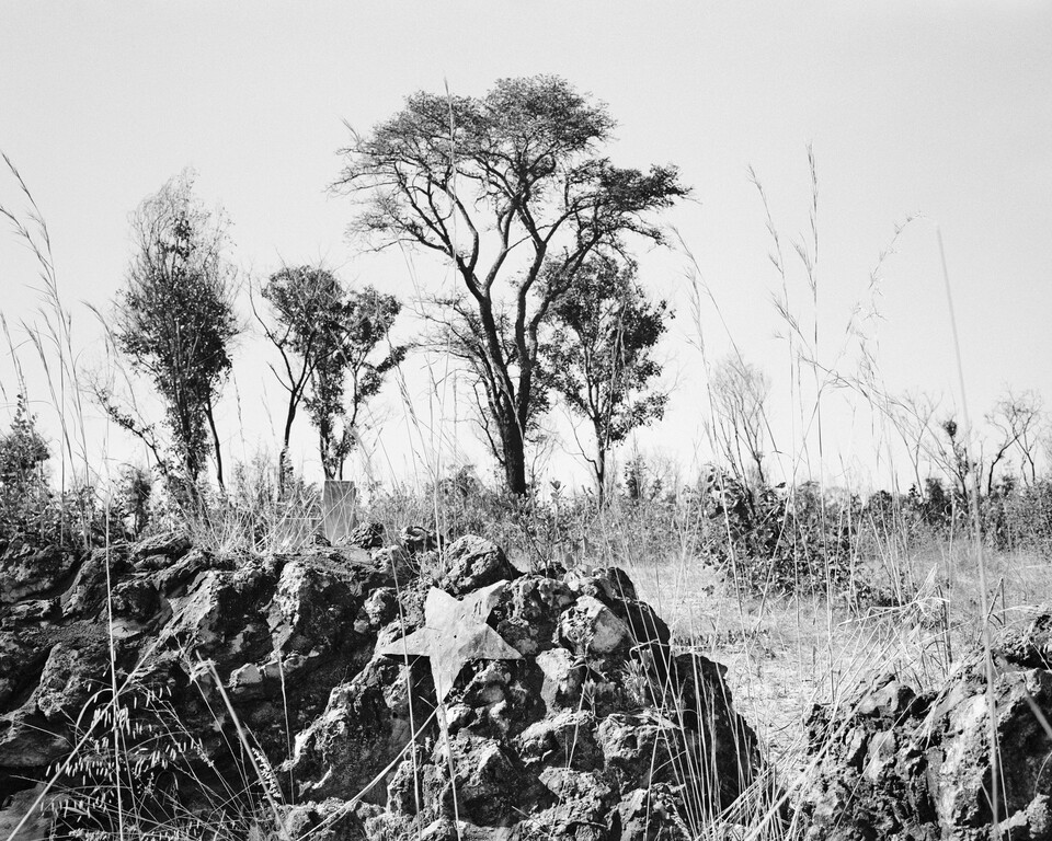 Jo Ractliffe Unmarked mass grave on the outskirts of Cuito Cuanavale, 2009 From the series: As Terras do Fim do Mundo Custom printed platinum print, 37 x 44.4 cm © Jo Ractliffe Jo Ractliffe Unmarked mass grave on the outskirts of Cuito Cuanavale, 2009 From the series: As Terras do Fim do Mundo Custom printed platinum print, 37 x 44.4 cm © Jo Ractliffe