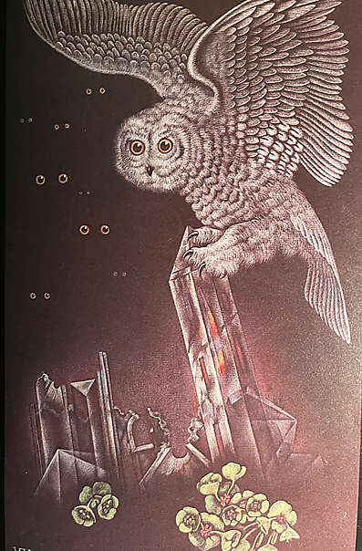 Valentine Hugo (1887 -1968), La Vérité tomberait du ciel sous la forme d‘un harfang, Pastell und Farbkreide auf schwarzem Papier, 1932, Musée d'art et d'histoire Paul Eluard, Saint-Denis Valentine Hugo (1887 -1968), La Vérité tomberait du ciel sous la forme d‘un harfang, Pastell und Farbkreide auf schwarzem Papier, 1932, Musée d'art et d'histoire Paul Eluard, Saint-Denis